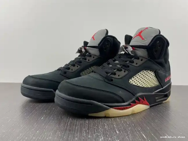 Rep Off Noir Gore-Tex Jordan DR0092-001 5 Air 0413